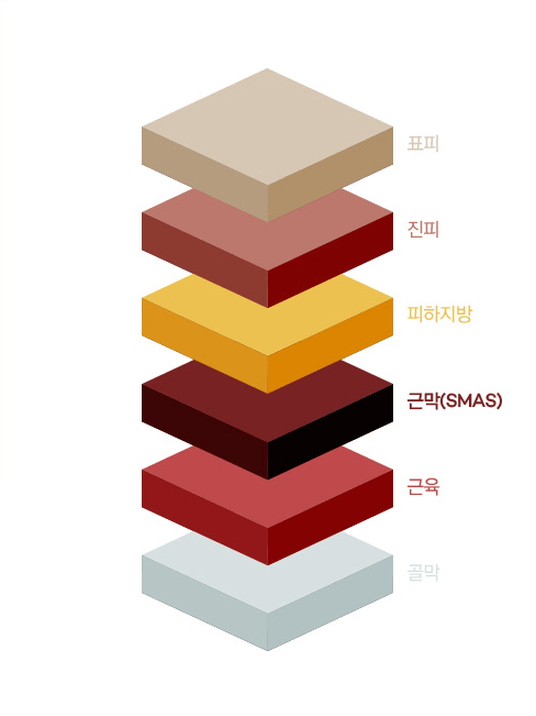 피부와 근막