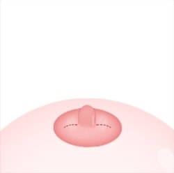 STEP 03