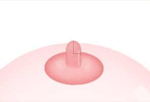 STEP 01