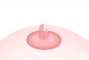 STEP 02