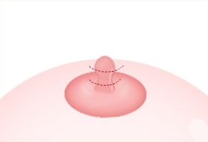 STEP 02