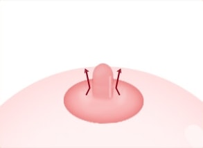 STEP 02