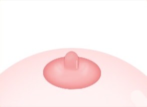 STEP 03